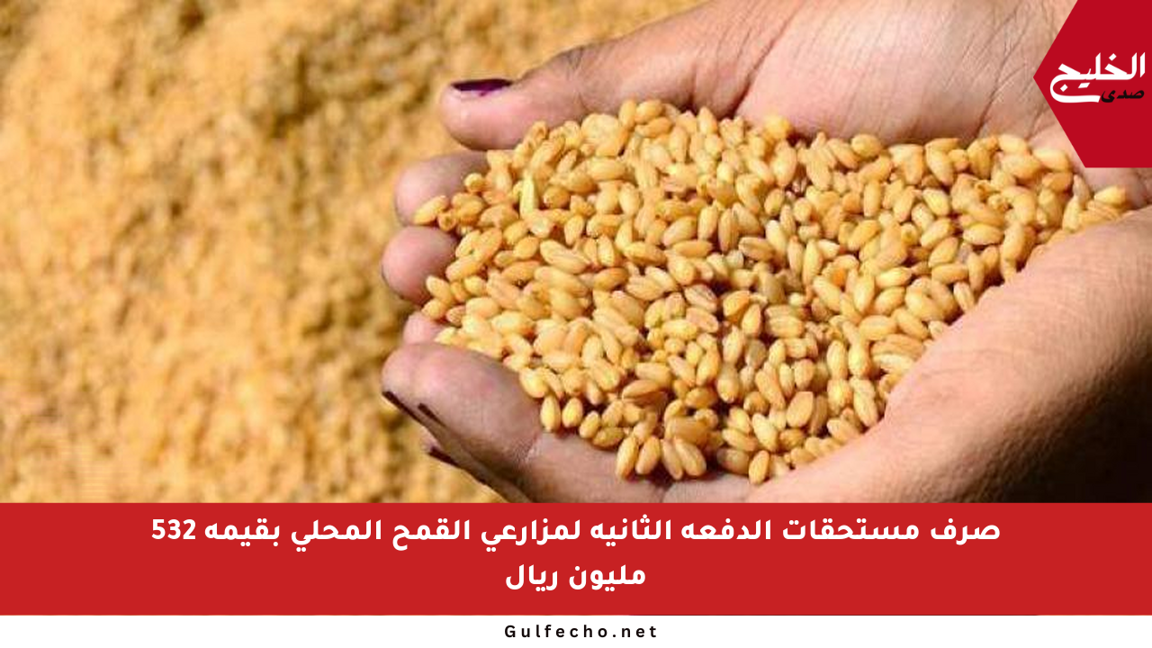 صرف مستحقات الدفعة الثانية لمزارعي القمح المحلي بقيمة 532 مليون ريال